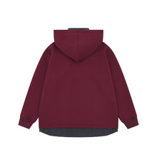 Load image into Gallery viewer, Fake two hooded loose hoodies