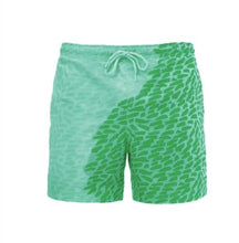 Charger l'image dans la galerie, Summer Men Swimming Trunks
